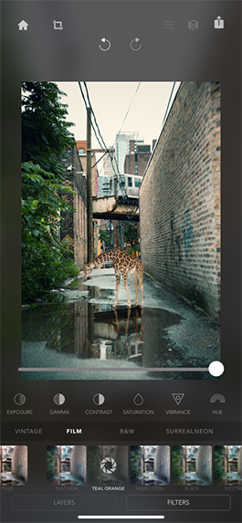 Add Giraffes and Animals to Photographs